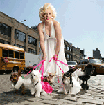 Famous animals